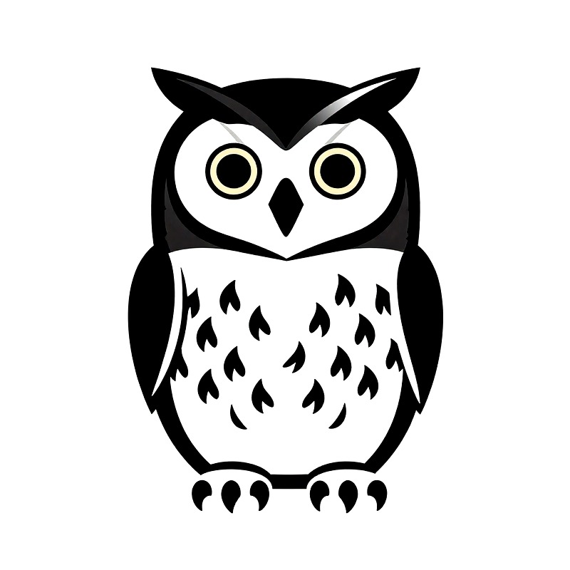 Owl Heat Transfer Vinyl HTV Ir - đánh giá và giá Iron On Patch